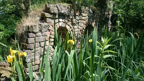 rana-natuurpark-rustplaats-wandelroute-schouwen-duiveland-zierikzee-dreischor-zeeland (31)