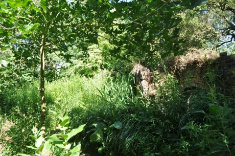 rana-natuurpark-rustplaats-wandelroute-dreischor-schouwen-duiveland-zierikzee-zeeland (10)