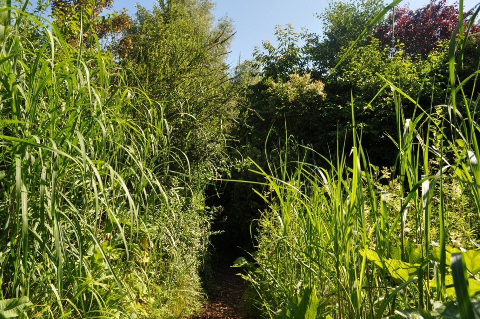 rana-natuurpark-rustplaats-wandelroute-dreischor-schouwen-duiveland-zierikzee-zeeland (16)