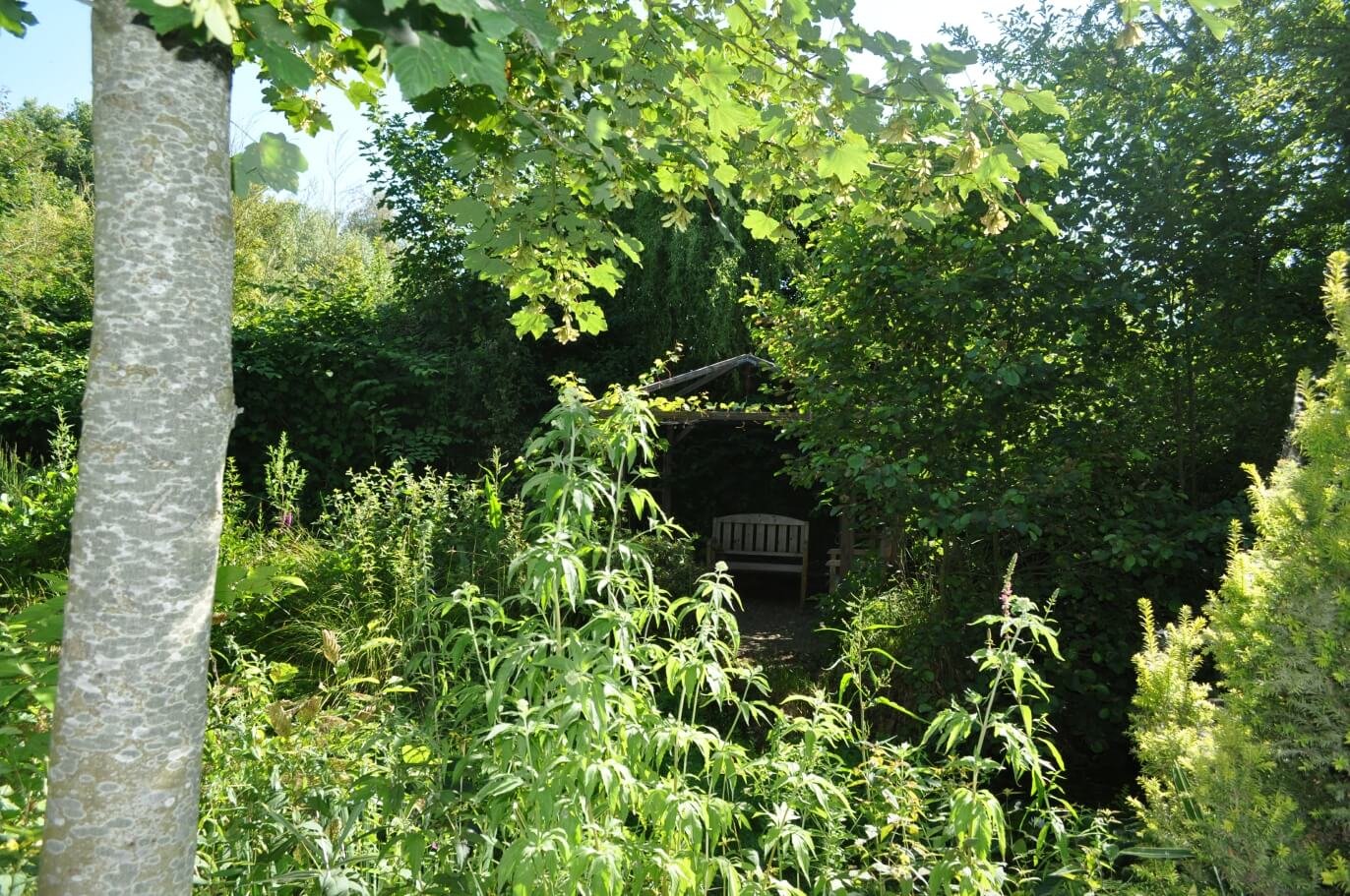 rana-natuurpark-rustplaats-wandelroute-dreischor-schouwen-duiveland-zierikzee-zeeland (3)