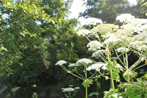 rana-natuurpark-rustplaats-wandelroute-dreischor-schouwen-duiveland-zierikzee-zeeland (44)