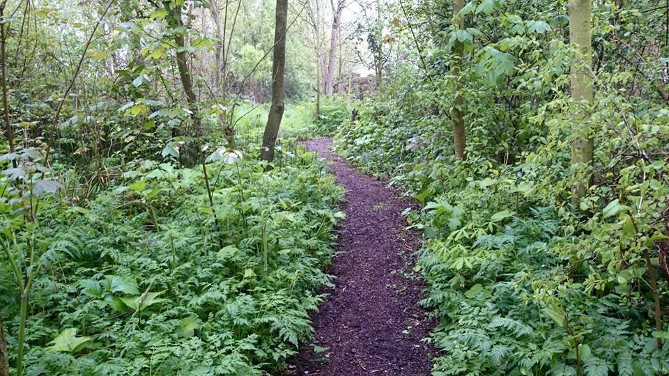 rana-natuurpark-rustplaats-wandelroute-schouwen-duiveland-zierikzee-dreischor-zeeland (17)