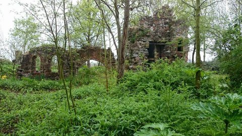 rana-natuurpark-rustplaats-wandelroute-schouwen-duiveland-zierikzee-dreischor-zeeland (18)