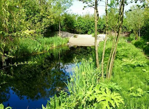 rana-natuurpark-rustplaats-wandelroute-schouwen-duiveland-zierikzee-dreischor-zeeland (19) (1)