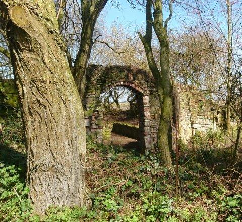 rana-natuurpark-rustplaats-wandelroute-schouwen-duiveland-zierikzee-dreischor-zeeland (2)