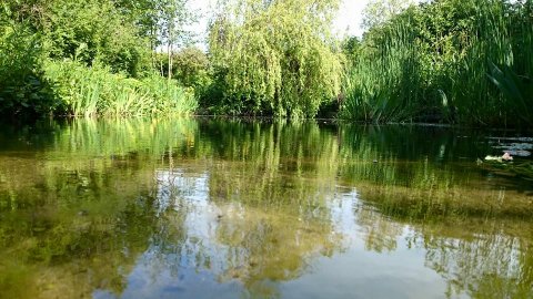 rana-natuurpark-rustplaats-wandelroute-schouwen-duiveland-zierikzee-dreischor-zeeland (23)