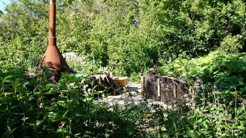 rana-natuurpark-rustplaats-wandelroute-schouwen-duiveland-zierikzee-dreischor-zeeland (24)