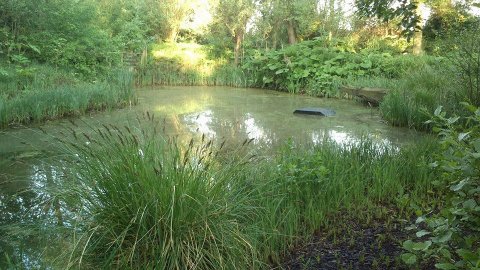 rana-natuurpark-rustplaats-wandelroute-schouwen-duiveland-zierikzee-dreischor-zeeland (6)